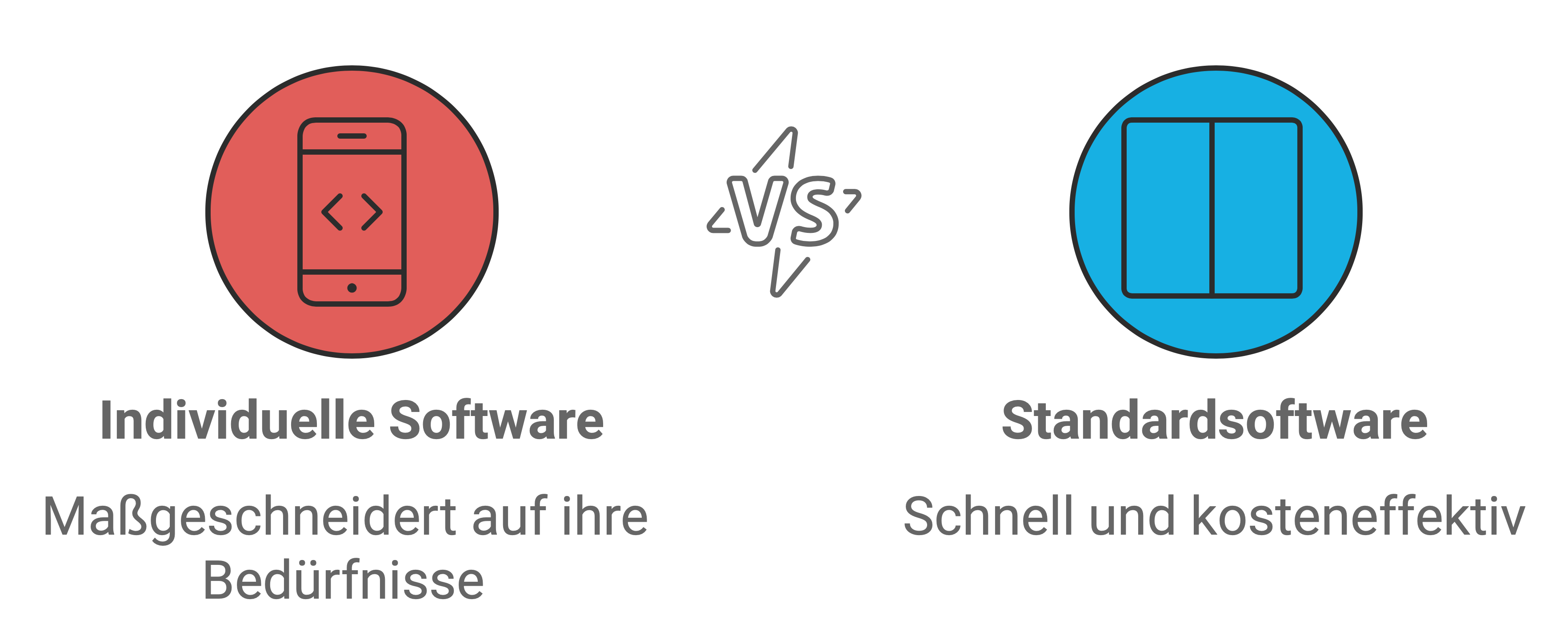 Individuelle Softwareentwicklung vs. Standardsoftware