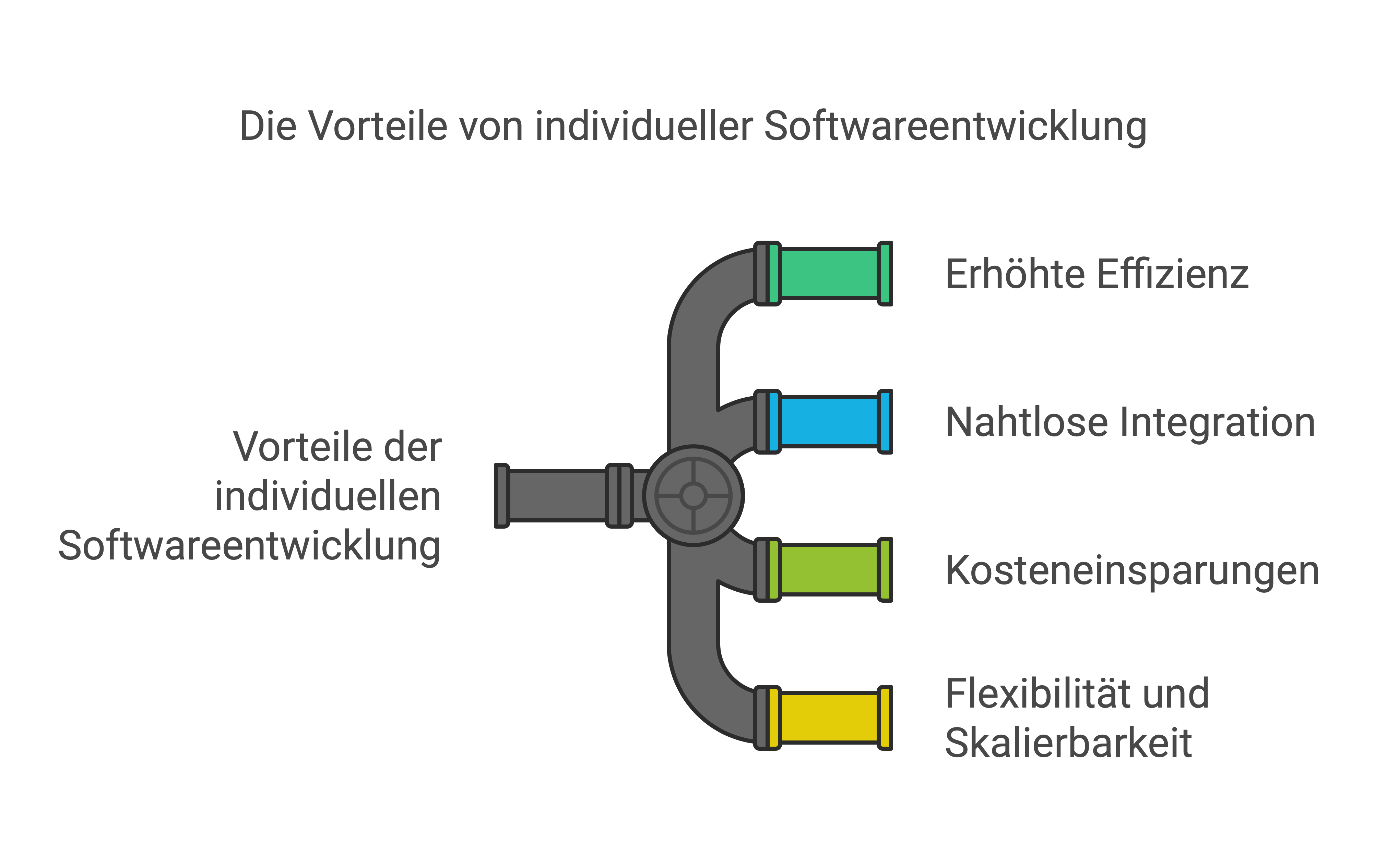 Individuelle Softwareentwicklung vs. Standardsoftware